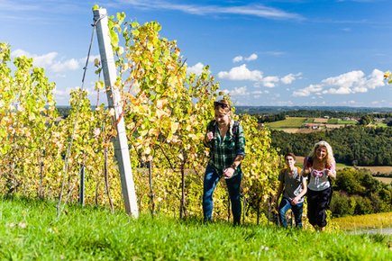 Wandern in den Weinbergen (c)pixelmaker.at TVB Bad Radkersburg Wandern in den Weinbergen (c)pixelmaker.at TVB Bad Radkersburg