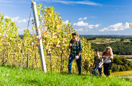 Weinberge (c) pixelmaker.at TVB Bad Radkersburg Weinberge (c) pixelmaker.at TVB Bad Radkersburg