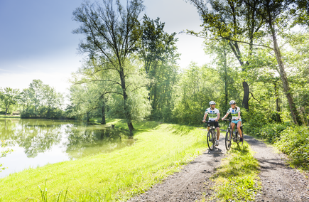 Radfahren Murauen (c) pixelmaker.at, TVB Bad Radkersburg Radfahren Murauen (c) pixelmaker.at, TVB Bad Radkersburg