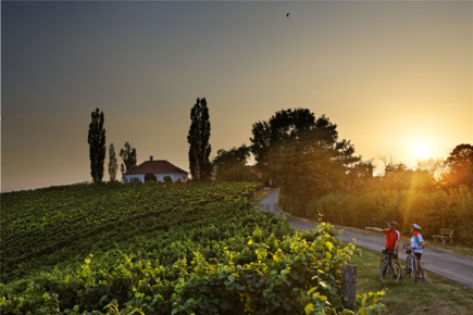 Rad- und Weinregion Bad Radkersburg in der Nähe vom Vitalhotel der Parktherme (c) Bergmann Rad- und Weinregion Bad Radkersburg in der Nähe vom Vitalhotel der Parktherme (c) Bergmann