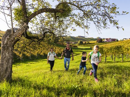 Weinwandern in der Region Bad Radkersburg Weinwandern in der Region Bad Radkersburg