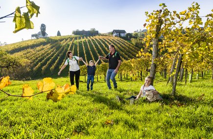 Weinregion (c) pixelmaker.at TVB Bad Radkersburg Weinregion (c) pixelmaker.at TVB Bad Radkersburg