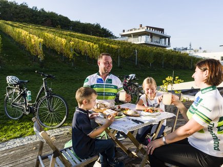 Radfahren entlang der Weinberge Radfahren entlang der Weinberge