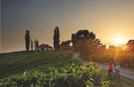Sonnenuntergang am Rad genießen in Bad Radkersburg Sonnenuntergang am Rad genießen in Bad Radkersburg
